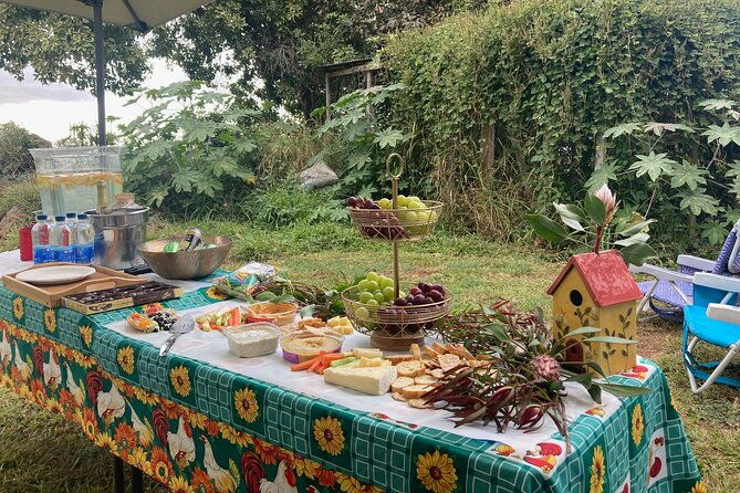 maui-birdwatching-at-maui-bird-house