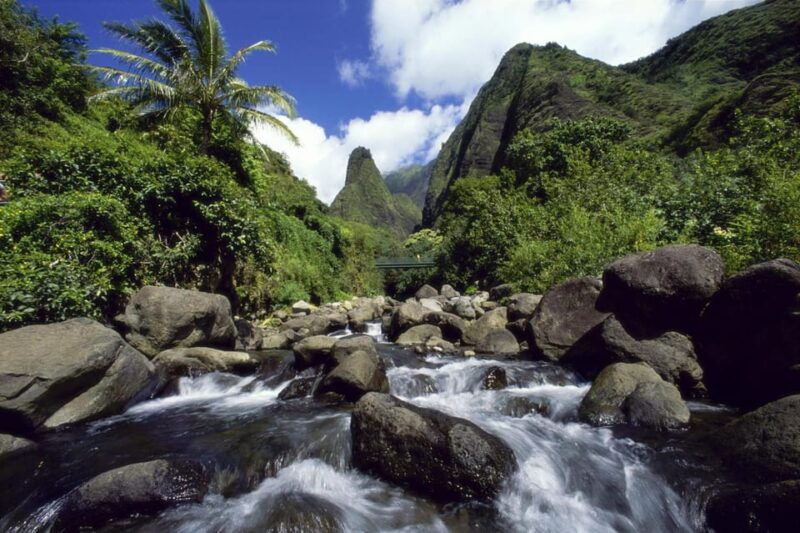 maui-custom-elite-tour-with-escalade-meals