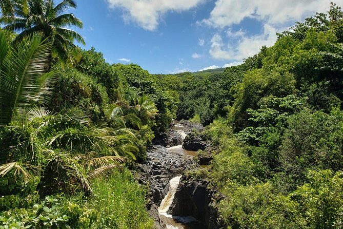 Maui Exclusive - Road to Hana Adventure - Just for Your Group - Authentic Experiences and Reviews Highlight