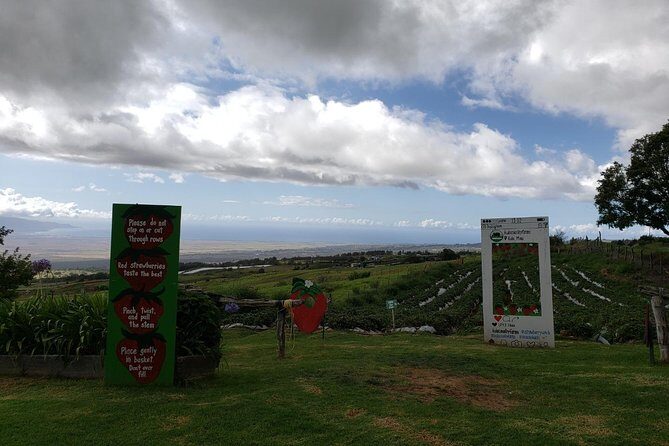 Maui Exclusive - Road to Hana Adventure - Just for Your Group - The Sum Up: Who Will Love This Tour?
