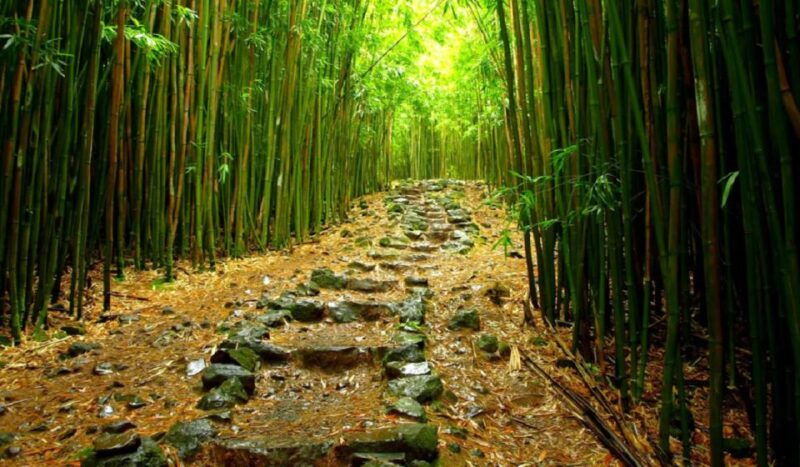 maui-full-day-hiking-tour-with-lunch