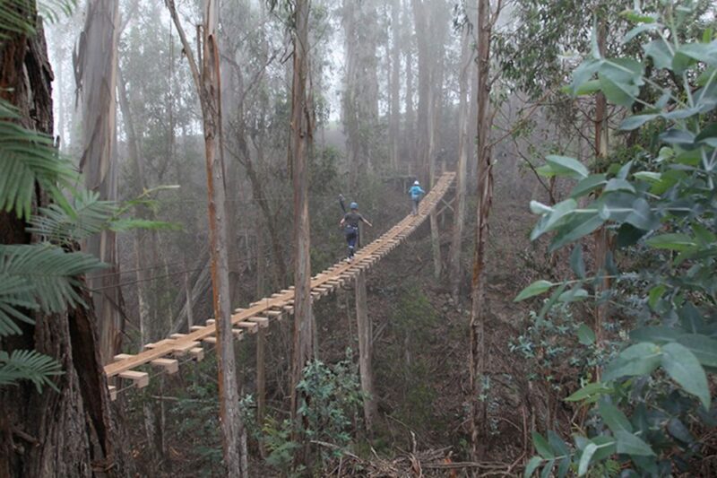 Maui: Haleakala 6-Line Zipline Adventure - An Introduction to the Haleakala Zipline Adventure