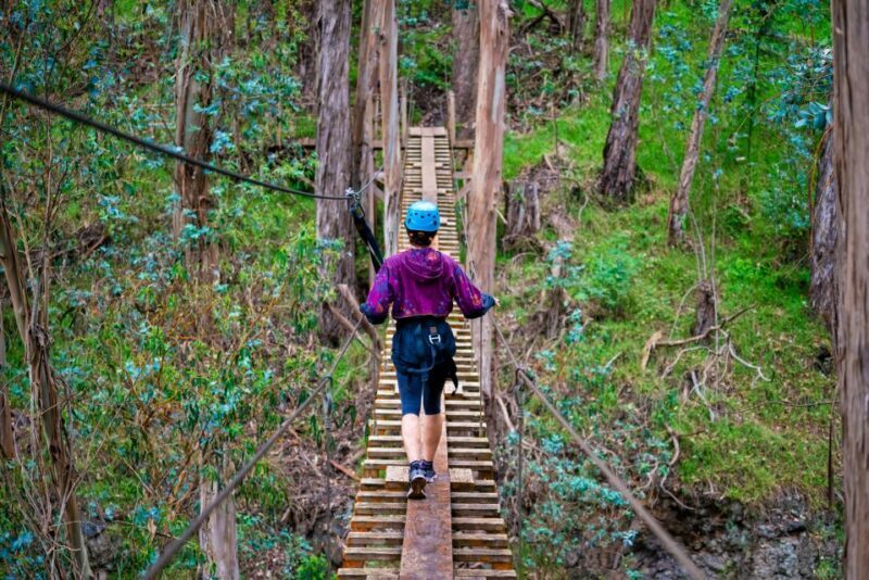 Maui: Haleakala 6-Line Zipline Adventure - The Sum Up: Who Will Love This Tour?