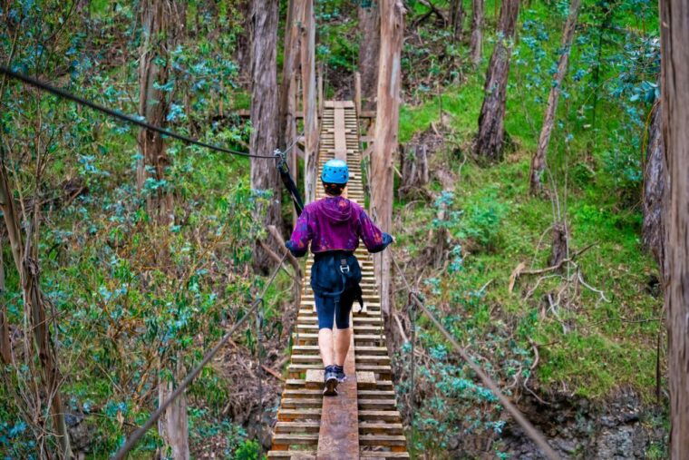 maui-haleakala-6-line-zipline-adventure