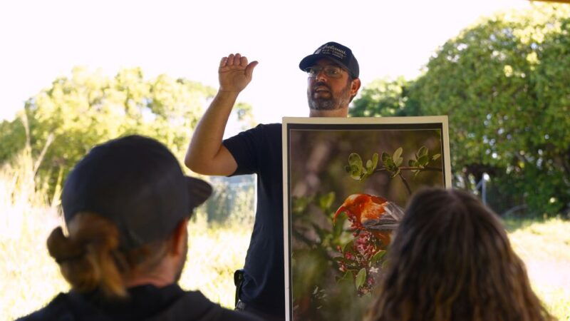 maui-honolua-ridgeline-informational-hike