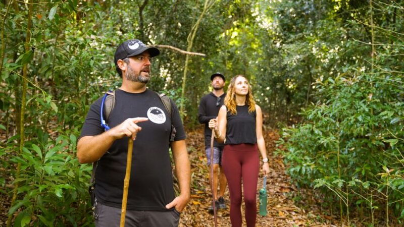 maui-honolua-ridgeline-informational-hike