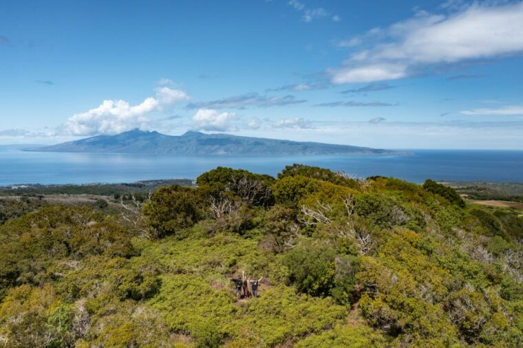 maui-honolua-ridgeline-informational-hike