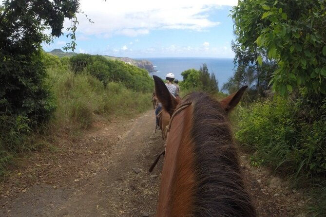maui-horseback-adventure-at-circle-m-ranch-with-real-cowboys