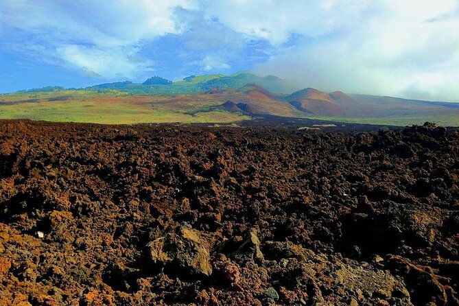 maui-island-private-day-tour-2