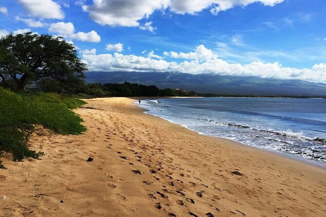 maui-island-private-day-tour-2