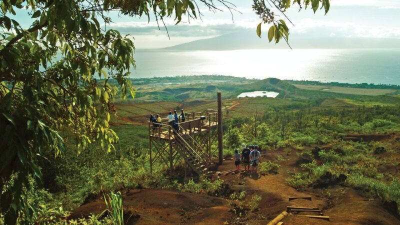 maui-kaanapali-8-line-zipline-adventure