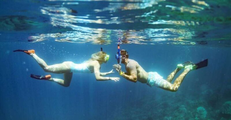 Maui: Kaanapali Beach 4-hour Snorkel w/ BBQ Lunch & Open Bar - Frequently Asked Questions
