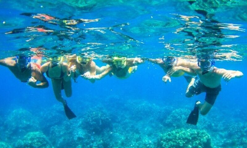 Maui: Kaanapali Beach 5-hr Snorkel w/ BBQ Lunch & Open Bar - Why You’ll Love This Maui Snorkel Tour  
