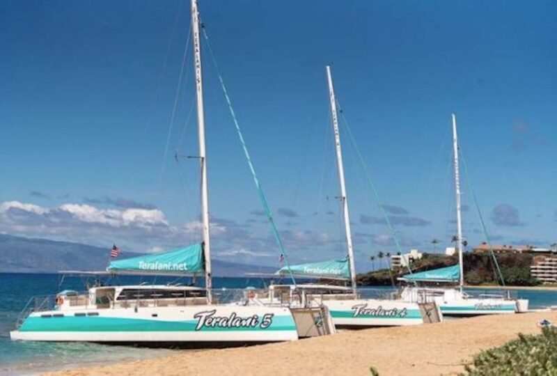 Maui: Kaanapali Dolphin Watching Boat Trip with Lunch - Authentic Feedback from Guests
