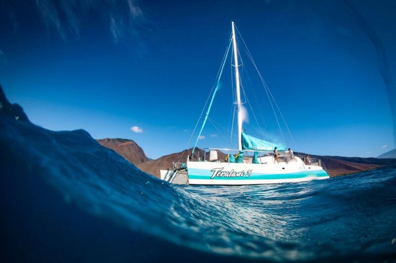 maui-kaanapali-dolphin-watching-boat-trip-with-lunch