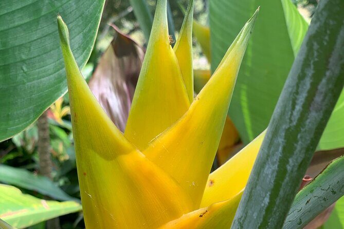 Maui Magical Waterfall and Jungle Tour: Road to Hana - Is This Tour Worth the Price?