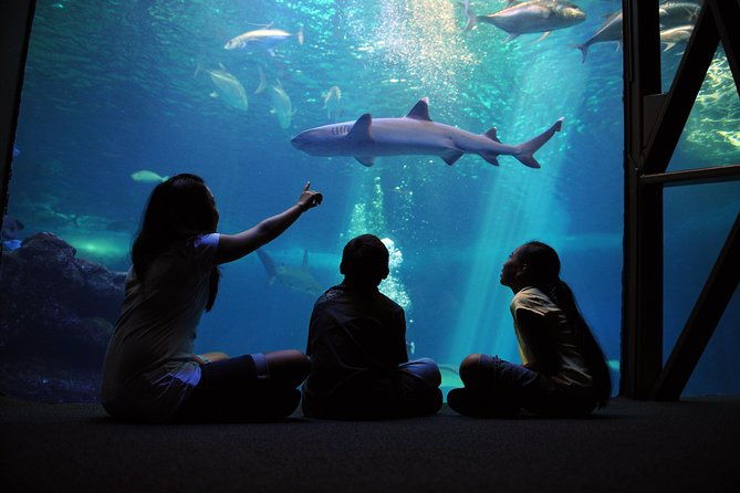 maui-ocean-center-all-day-admission-ticket