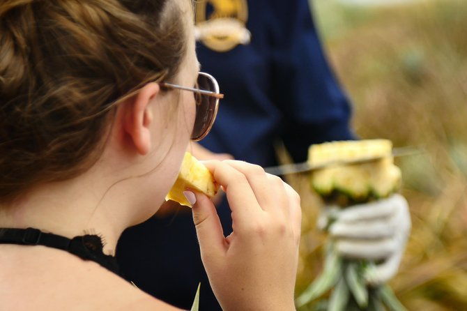 maui-pineapple-farm-tour-in-haliimaile