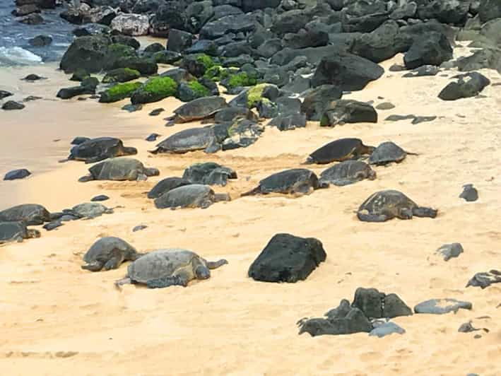 maui-private-halfway-to-hana-tour