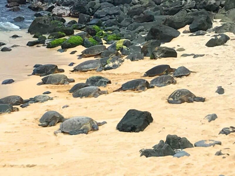 maui-private-halfway-to-hana-tour