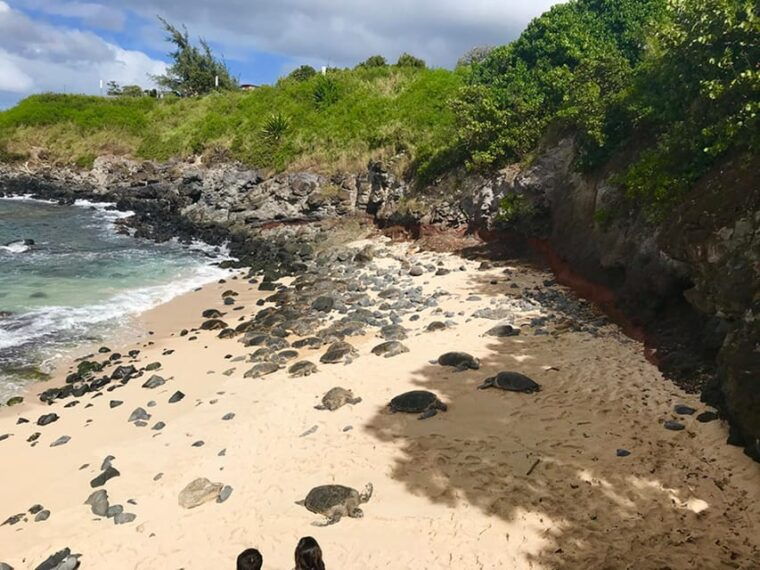 maui-private-halfway-to-hana-tour