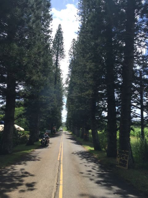 Maui : Private : Road to Hana Day Trip : Just For Your Group - What to Expect from the Road to Hana Private Tour