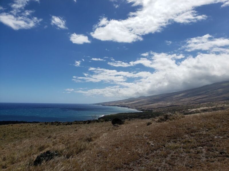 Maui : Private : Road to Hana Day Trip : Just For Your Group - What Makes This Tour Stand Out