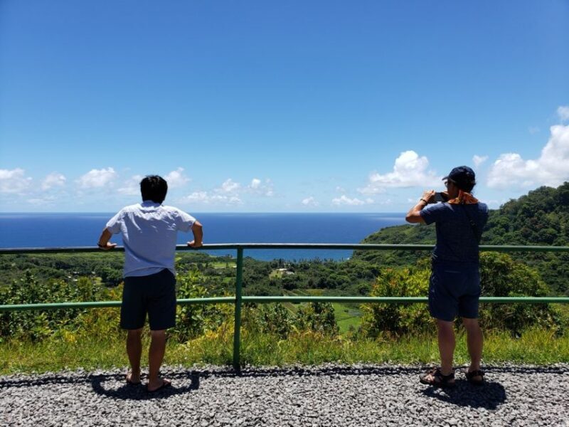 Maui : Private : Road to Hana Day Trip : Just For Your Group - Who Is This Tour Best For?