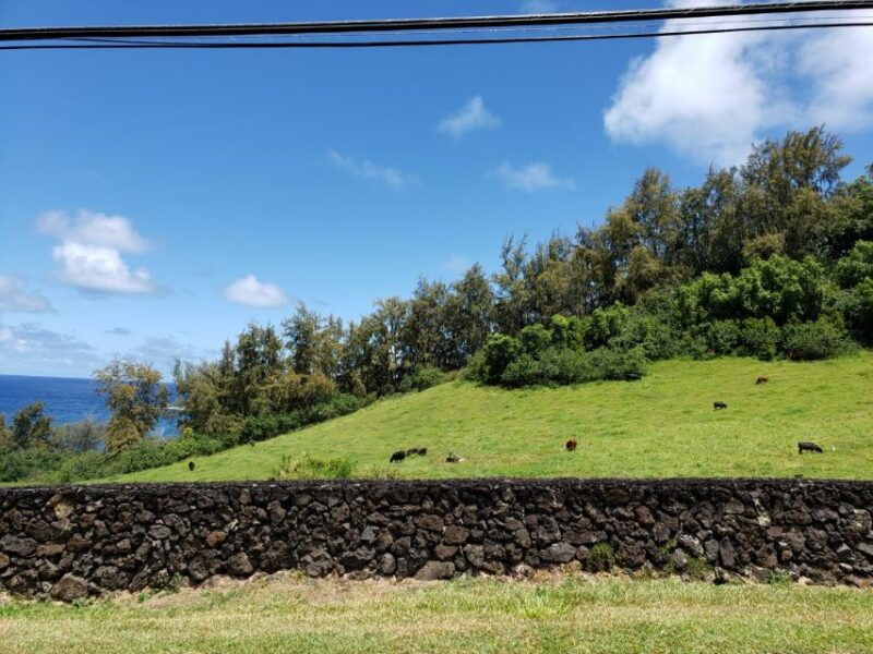 maui-private-road-to-hana-day-trip-just-for-your-group