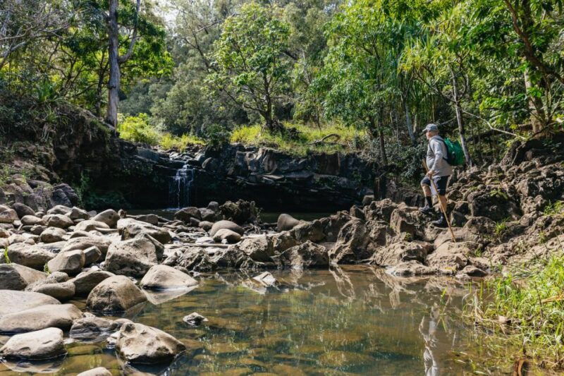 maui-rainforest-waterfalls-guided-hike-with-picnic-lunch