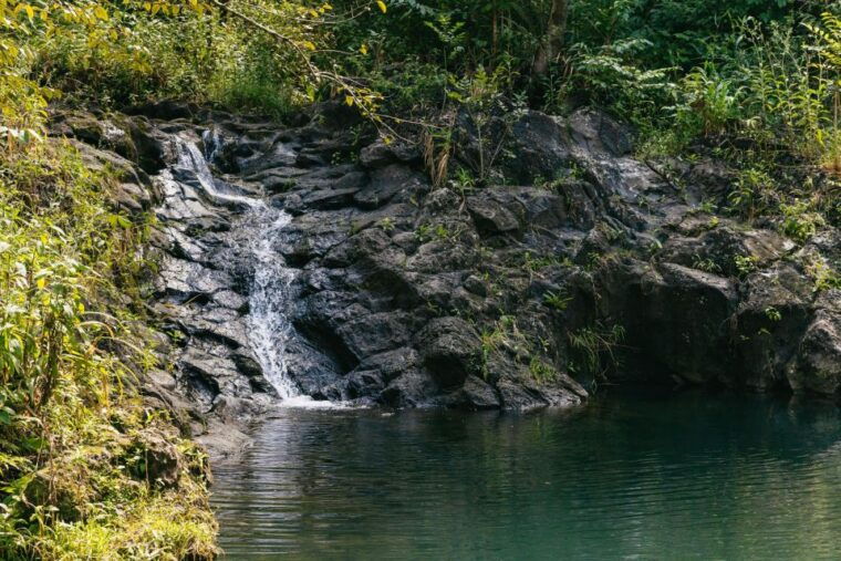 maui-rainforest-waterfalls-guided-hike-with-picnic-lunch