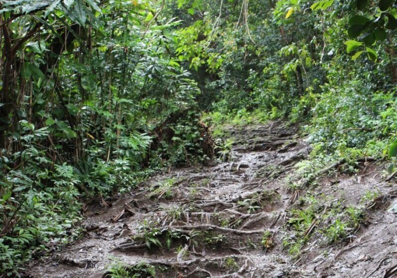 Maui: Road to Hana 4Hr GPS self-guided audio driving tour - What to Expect at Each Stop