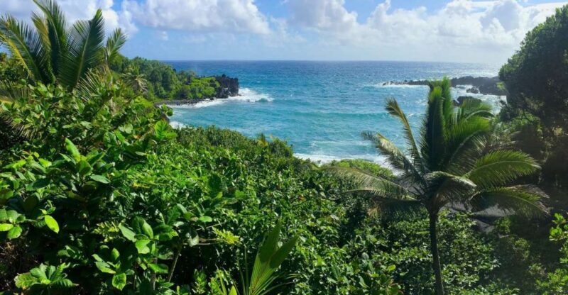 Maui: Road to Hana Sightseeing Tour - Introduction