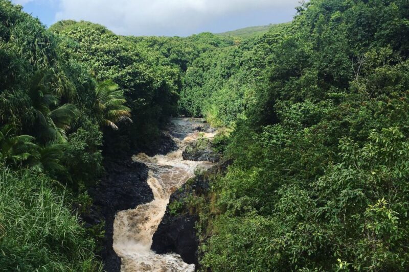 Maui: Road to Hana Sightseeing Tour - FAQ