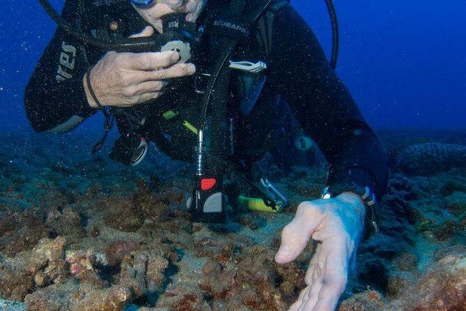 Maui Scuba Diving Introductory Lesson from Lahaina - The Dive Site Experience