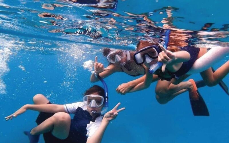 Maui: Semi-Private 3 Hour Eco-Raft Turtle Snorkel Tour - A Well-Rounded Maui Snorkel Adventure