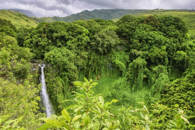 maui-small-group-road-to-hana-sightseeing-tour