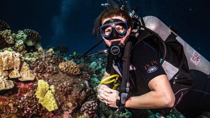 maui-small-group-shark-turtle-scuba-dive-from-shore