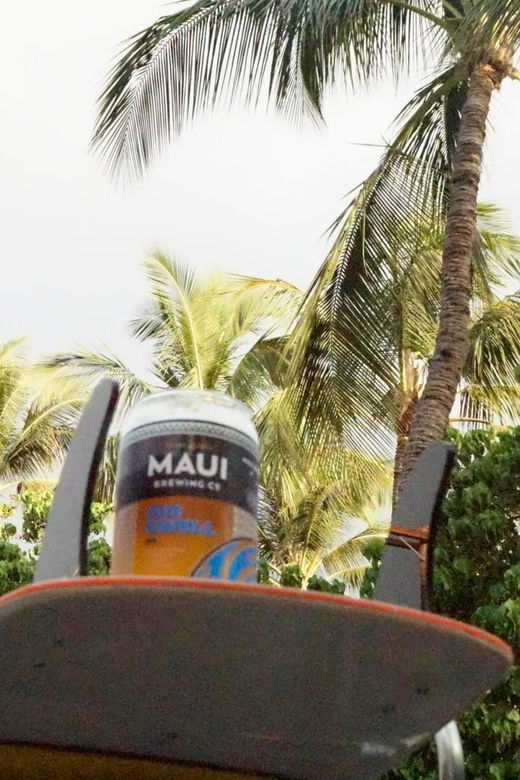maui-south-maui-vw-bus-tour-with-brewery-lunch