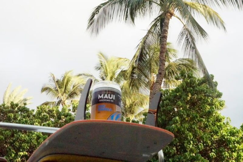 maui-south-maui-vw-bus-tour-with-brewery-lunch