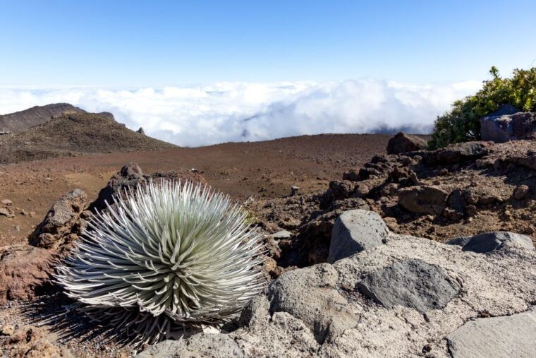 maui-sunrise-breakfast-tour-to-haleakala-national-park