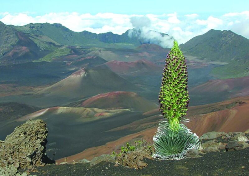 maui-sunset-dinner-tour-to-haleakala-national-park