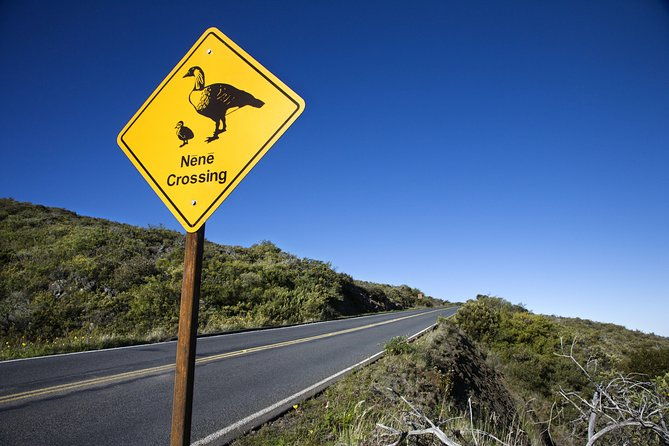 maui-sunset-stargazing-at-haleakala-audio-driving-tour