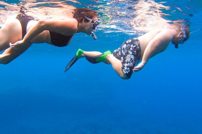 Maui to Lanai Semi-Private Eco Raft Snorkel & Dolphin Tour - What You Can Expect from the Tour