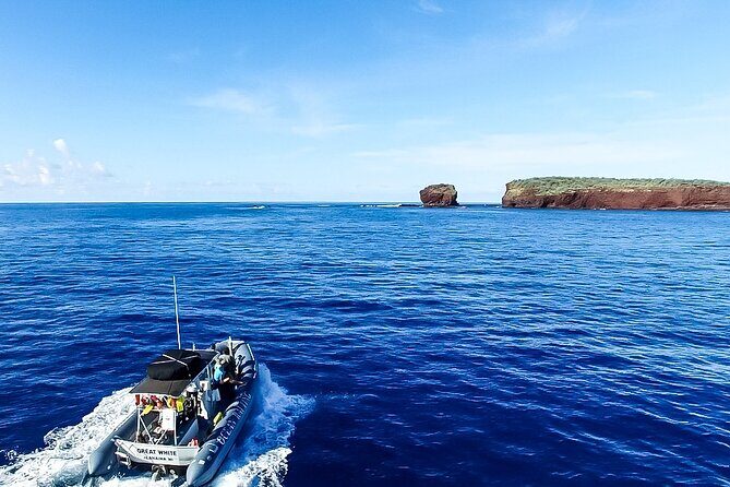Maui to Lanai Semi-Private Eco Raft Snorkel & Dolphin Tour - FAQ