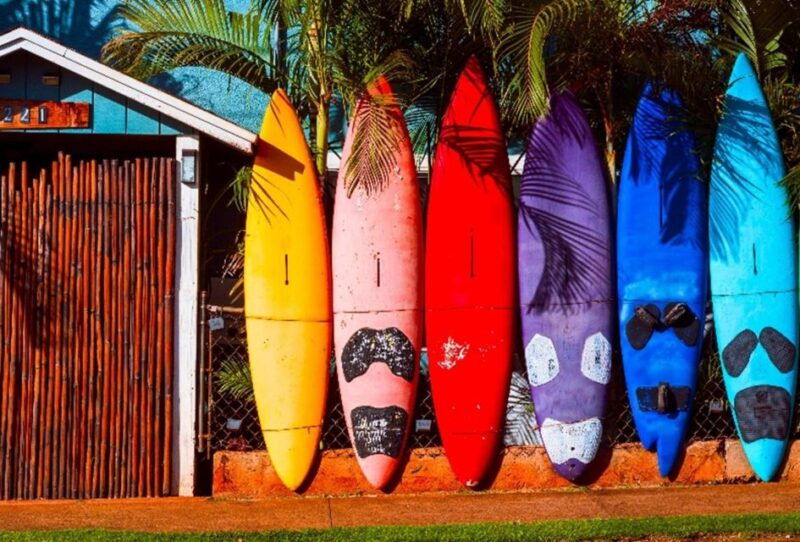 maui-tropical-rainforest-eco-tour-with-lunch