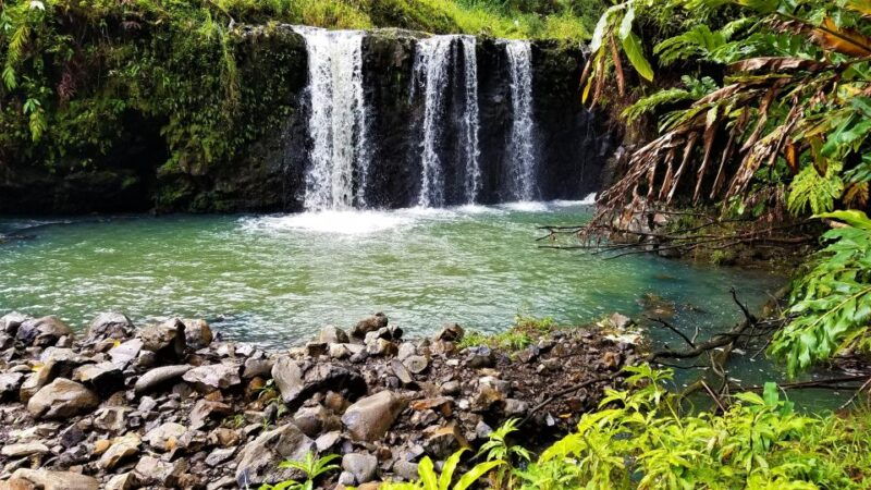 maui-tropical-rainforest-eco-tour-with-lunch