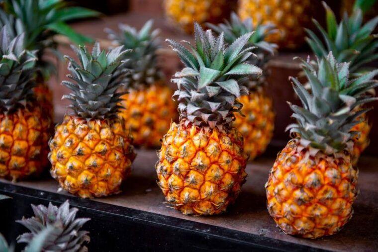 maui-tropical-rainforest-eco-tour-with-lunch