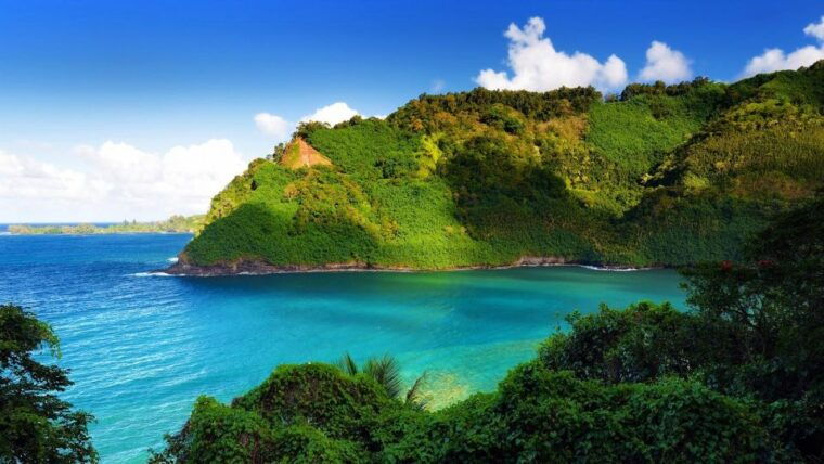 maui-tropical-rainforest-eco-tour-with-lunch