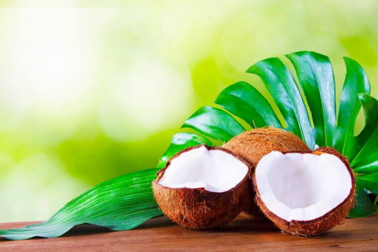 maui-tropical-rainforest-eco-tour-with-lunch